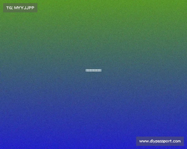 赛事专业化—专业赛道